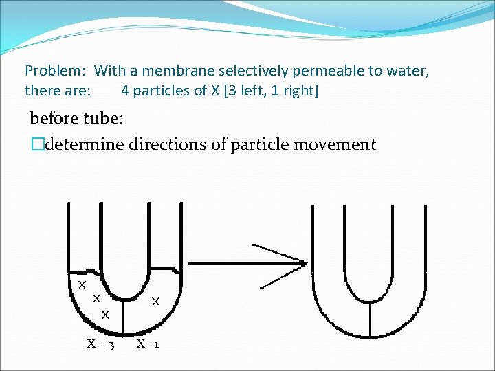 Problem: With a membrane selectively permeable to water, there are: 4 particles of X