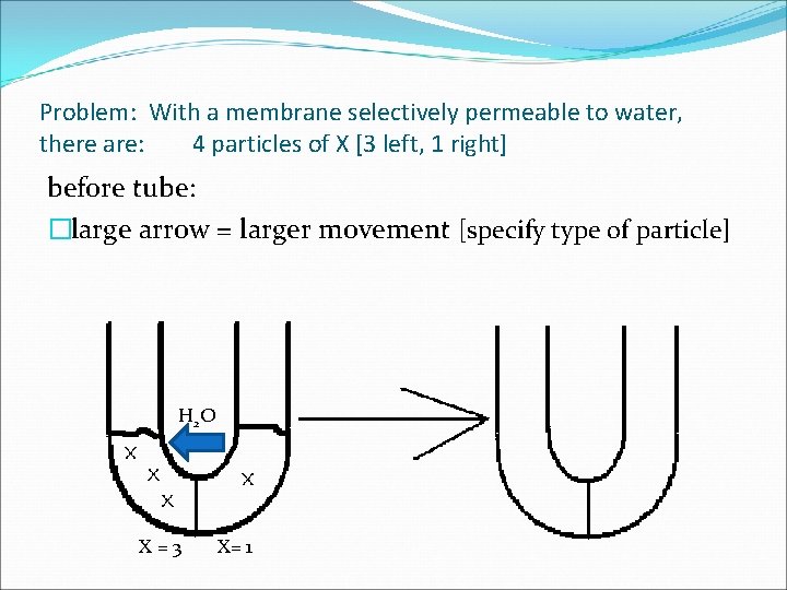 Problem: With a membrane selectively permeable to water, there are: 4 particles of X