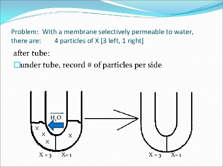 Problem: With a membrane selectively permeable to water, there are: 4 particles of X