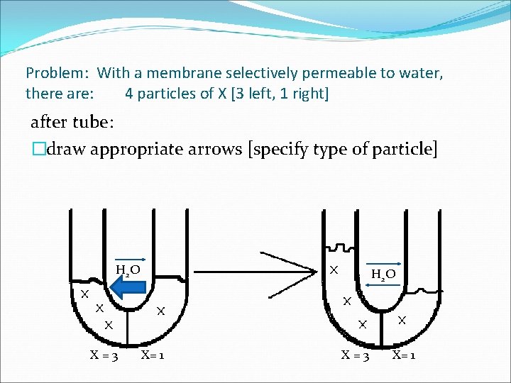 Problem: With a membrane selectively permeable to water, there are: 4 particles of X