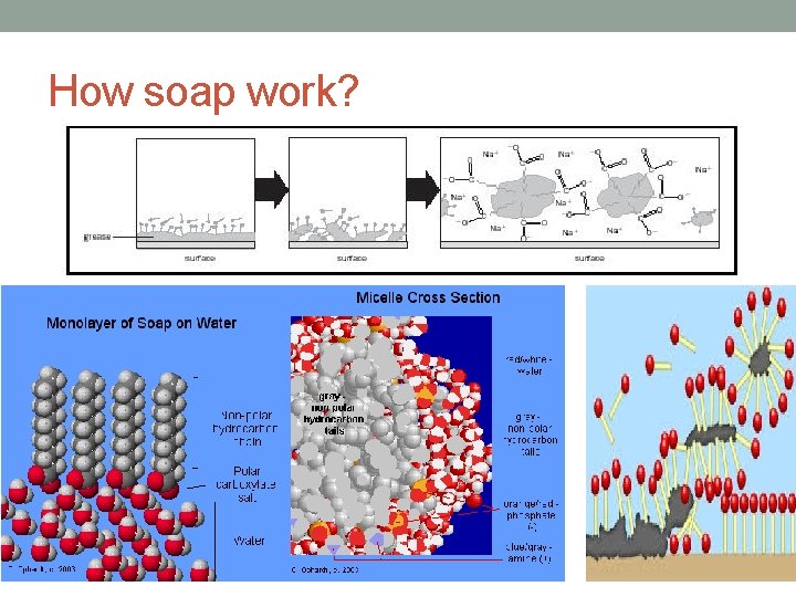 How soap work? 