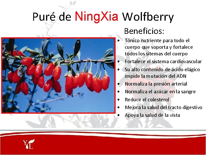 Puré de Ning. Xia Wolfberry Beneficios: • Tónico nutriente para todo el cuerpo que