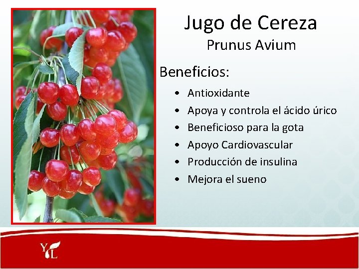 Jugo de Cereza Prunus Avium Beneficios: • • • Antioxidante Apoya y controla el