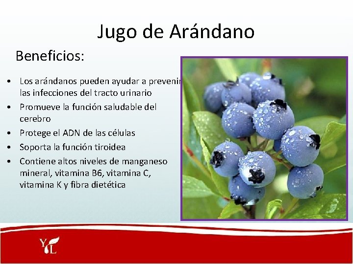 Jugo de Arándano Beneficios: • Los arándanos pueden ayudar a prevenir las infecciones del