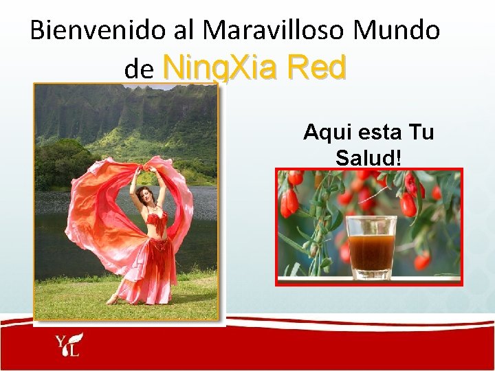 Bienvenido al Maravilloso Mundo de Ning. Xia Red Aqui esta Tu Salud! 