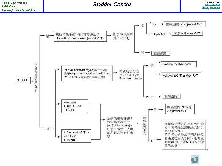 Taipei VGH Practice Guidelines: Oncology Guidelines Index Bladder Cancer Version 2012 Oct Table of