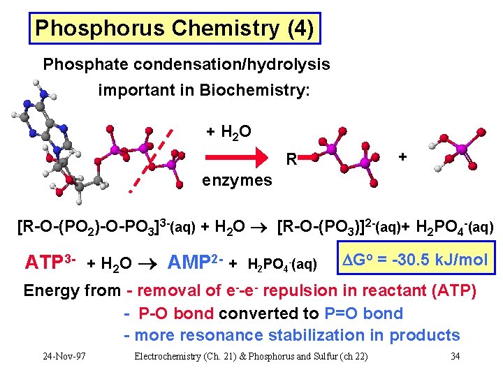 Phosphorus Chemistry (4) Phosphate condensation/hydrolysis important in Biochemistry: + H 2 O + R