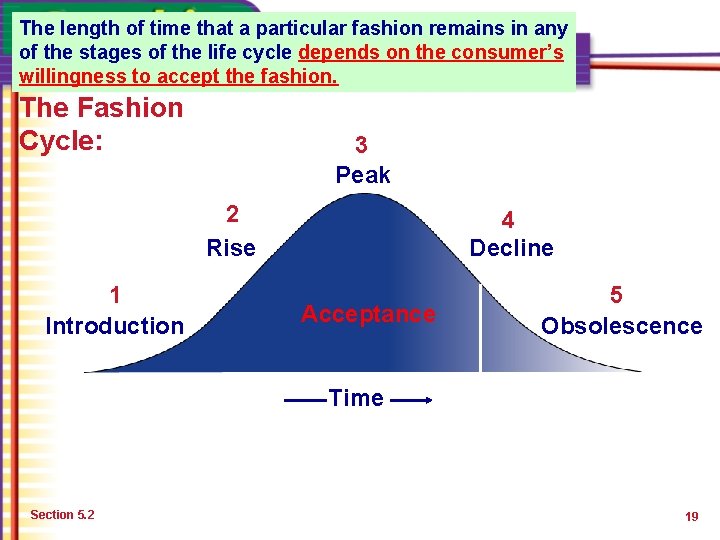 The length of time that a particular fashion remains in any of the stages