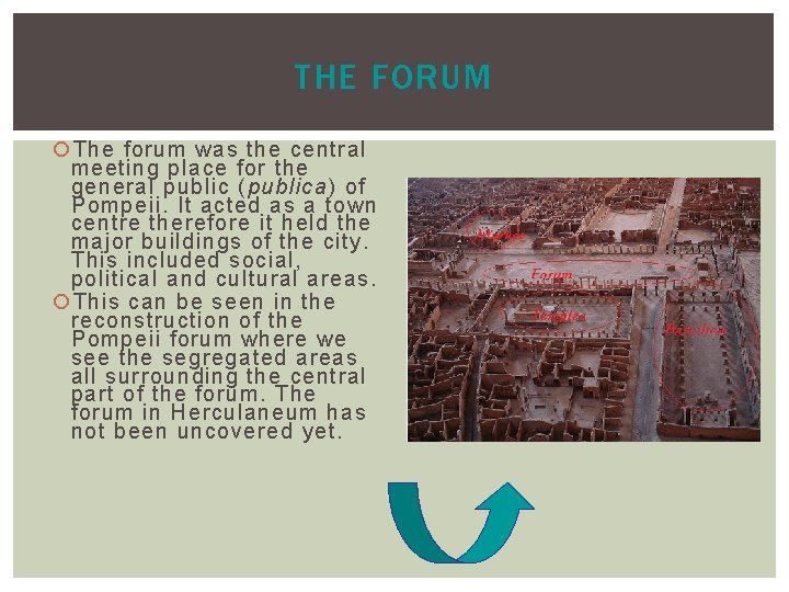 THE FORUM The forum was the central meeting place for the general public (publica)