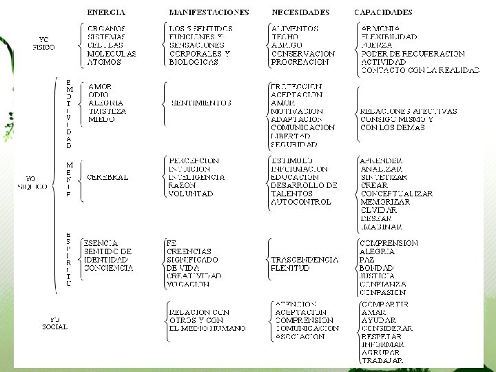 PROGRAMA NACIONAL DE FORMACIN Y CAPACITACIN PERMANENTE Para