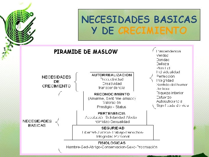 NECESIDADES BASICAS Y DE CRECIMIENTO PIRAMIDE DE MASLOW 