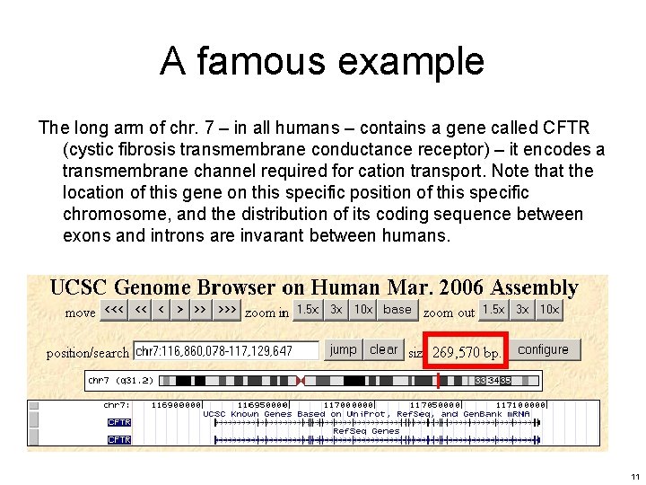 A famous example The long arm of chr. 7 – in all humans – A famous example The long arm of chr. 7 – in all humans –