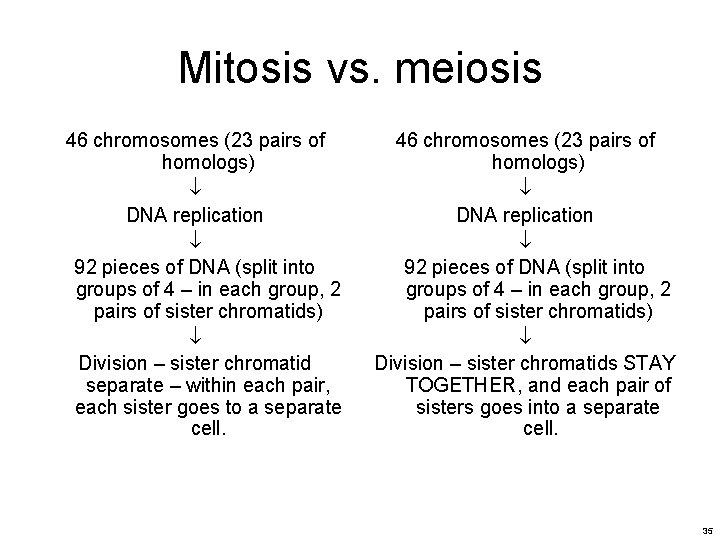 Mitosis vs. meiosis 46 chromosomes (23 pairs of homologs) DNA replication 92 pieces of Mitosis vs. meiosis 46 chromosomes (23 pairs of homologs) DNA replication 92 pieces of