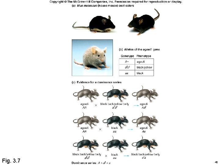 Fig. 3. 7 40 Fig. 3. 7 40
