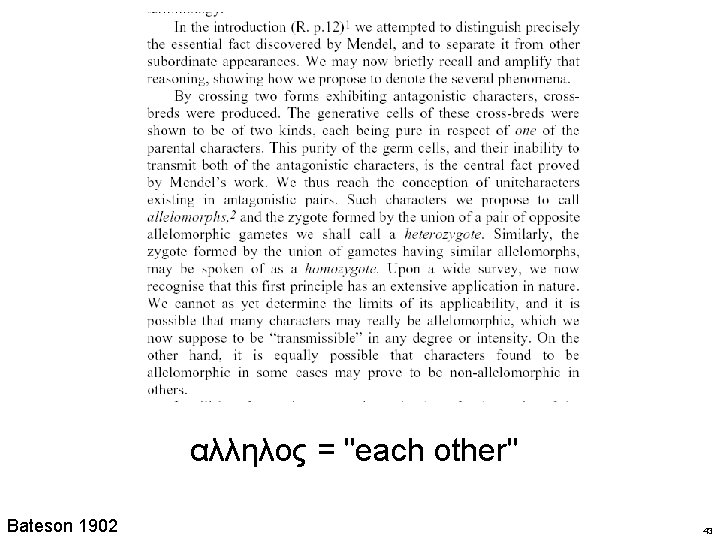 αλληλος = "each other" Bateson 1902 43 αλληλος = "each other" Bateson 1902 43