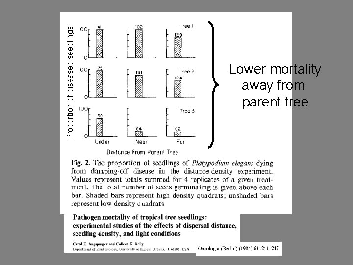 Proportion of diseased seedlings Lower mortality away from parent tree 