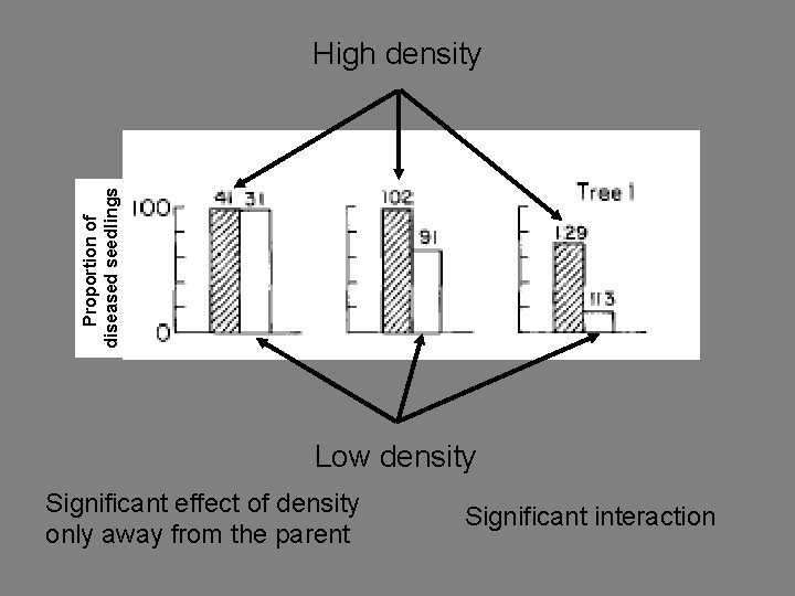 Proportion of diseased seedlings High density Low density Significant effect of density only away