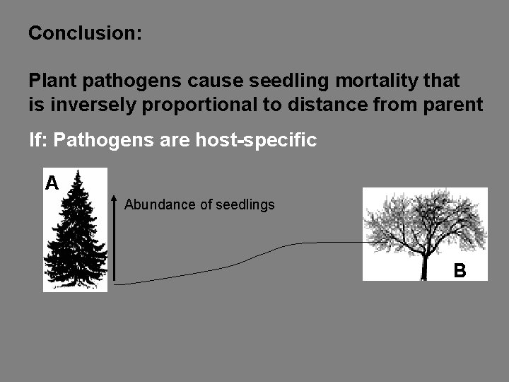 Conclusion: Plant pathogens cause seedling mortality that is inversely proportional to distance from parent