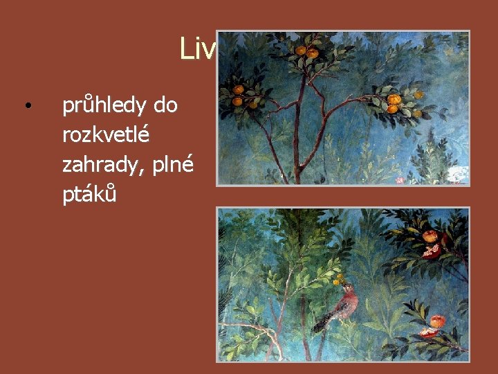 Liviina vila • průhledy do rozkvetlé zahrady, plné ptáků 