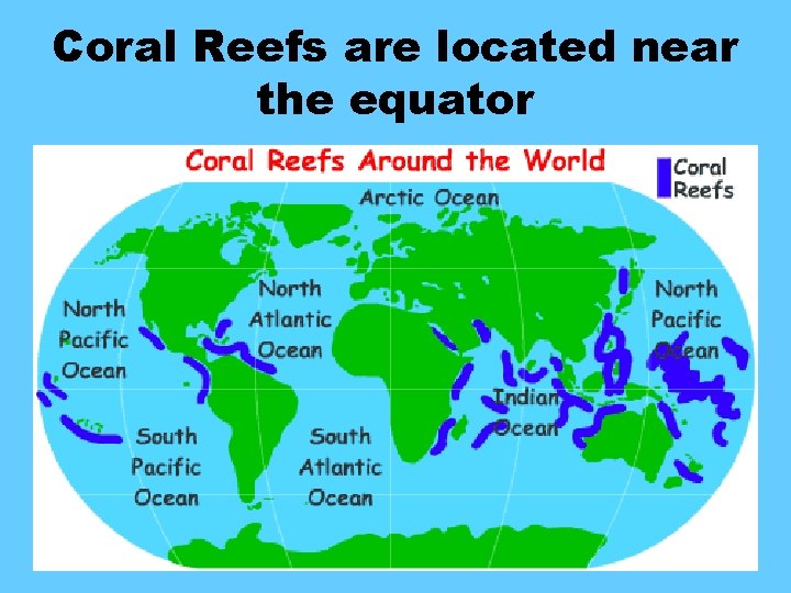 Coral Reefs are located near the equator 