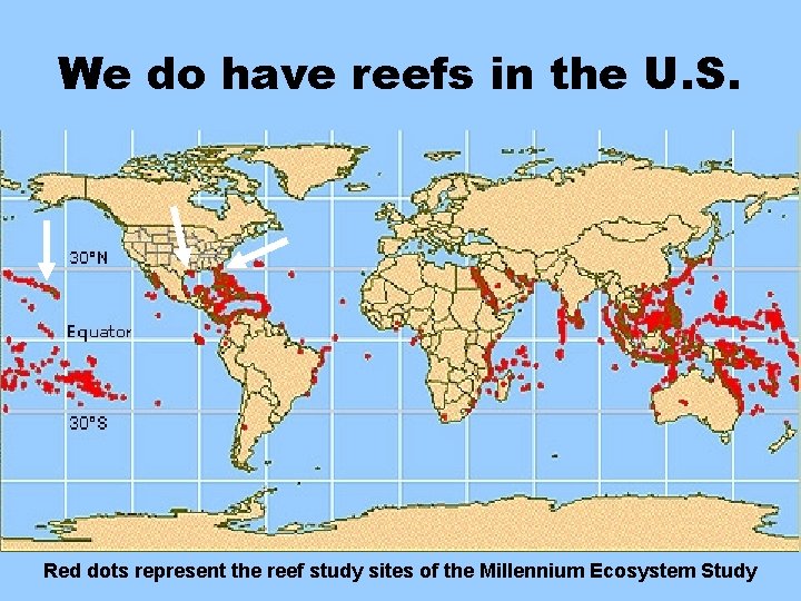 We do have reefs in the U. S. Red dots represent the reef study