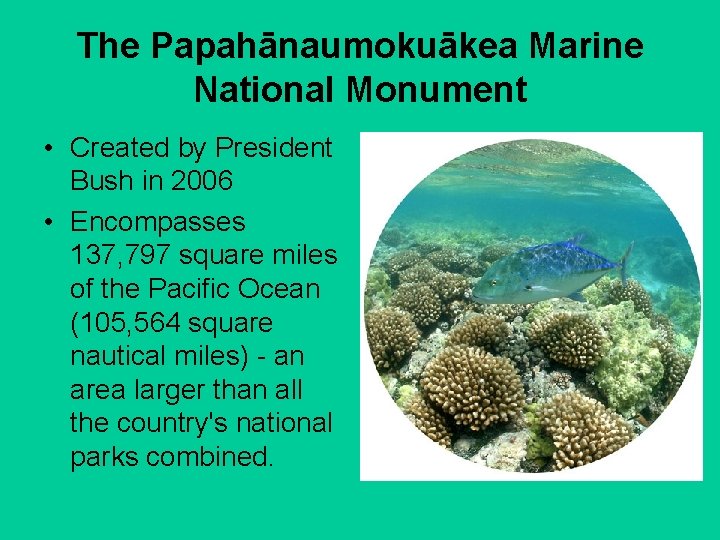 The Papahānaumokuākea Marine National Monument • Created by President Bush in 2006 • Encompasses