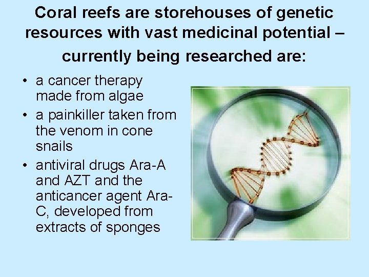 Coral reefs are storehouses of genetic resources with vast medicinal potential – currently being