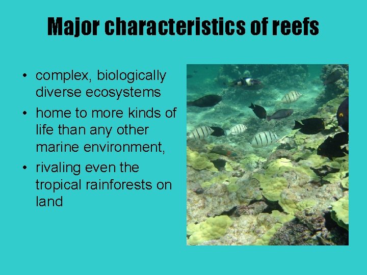 Major characteristics of reefs • complex, biologically diverse ecosystems • home to more kinds