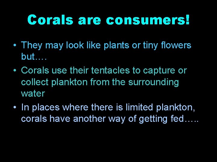 Corals are consumers! • They may look like plants or tiny flowers but…. •