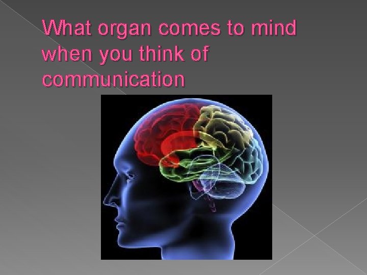 What organ comes to mind when you think of communication What organ comes to mind when you think of communication