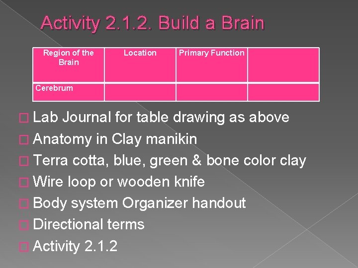 Activity 2. 1. 2. Build a Brain Region of the Brain Cerebrum � Lab Activity 2. 1. 2. Build a Brain Region of the Brain Cerebrum � Lab