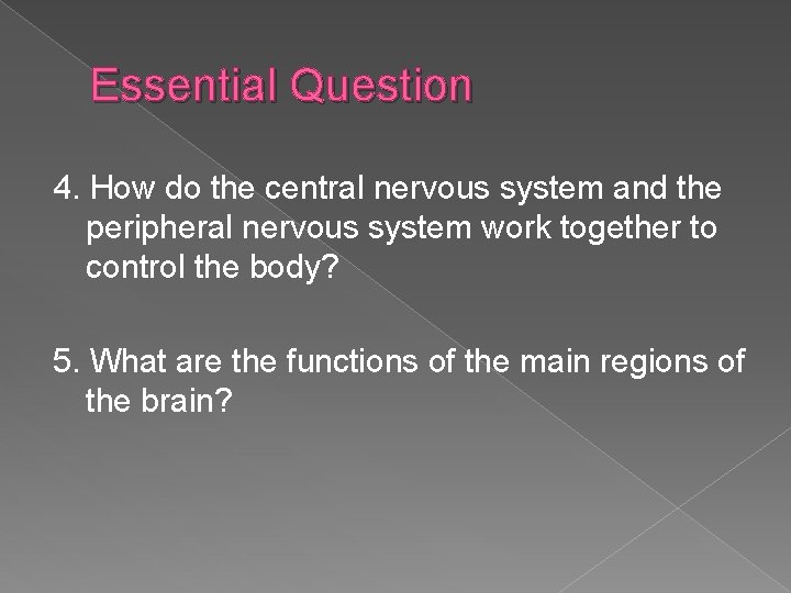 Essential Question 4. How do the central nervous system and the peripheral nervous system Essential Question 4. How do the central nervous system and the peripheral nervous system