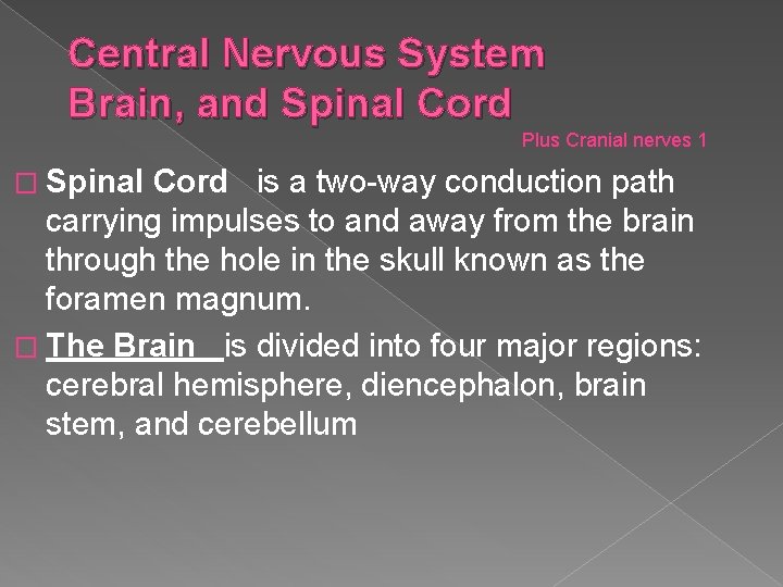 Central Nervous System Brain, and Spinal Cord Plus Cranial nerves 1 � Spinal Central Nervous System Brain, and Spinal Cord Plus Cranial nerves 1 � Spinal