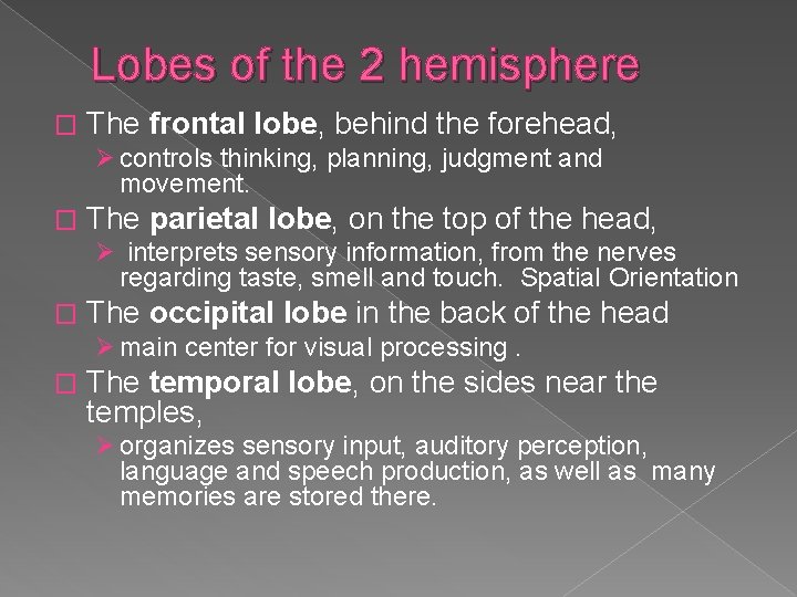 Lobes of the 2 hemisphere � The frontal lobe, behind the forehead, Ø controls Lobes of the 2 hemisphere � The frontal lobe, behind the forehead, Ø controls