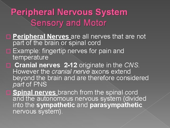 Peripheral Nervous System Sensory and Motor Peripheral Nerves are all nerves that are not Peripheral Nervous System Sensory and Motor Peripheral Nerves are all nerves that are not