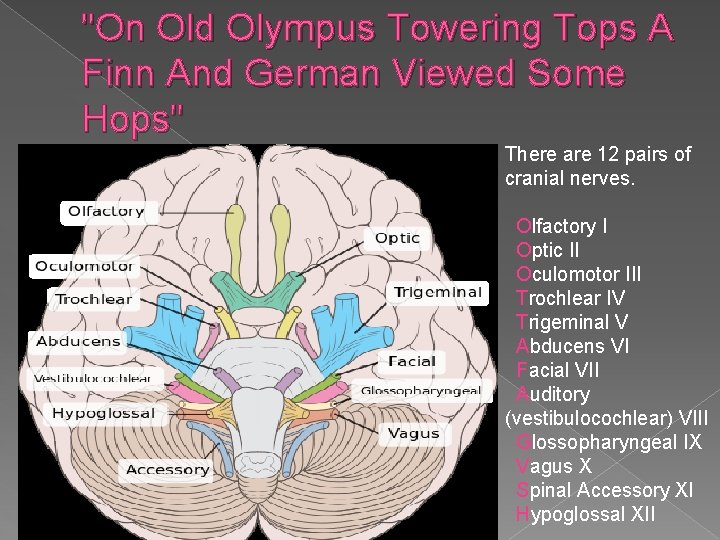 "On Old Olympus Towering Tops A Finn And German Viewed Some Hops" � There "On Old Olympus Towering Tops A Finn And German Viewed Some Hops" � There