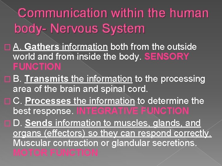 Communication within the human body- Nervous System � A. Gathers information both from the Communication within the human body- Nervous System � A. Gathers information both from the