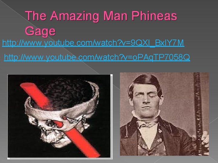 The Amazing Man Phineas Gage http: //www. youtube. com/watch? v=9 QXI_Bxl. Y 7 M The Amazing Man Phineas Gage http: //www. youtube. com/watch? v=9 QXI_Bxl. Y 7 M