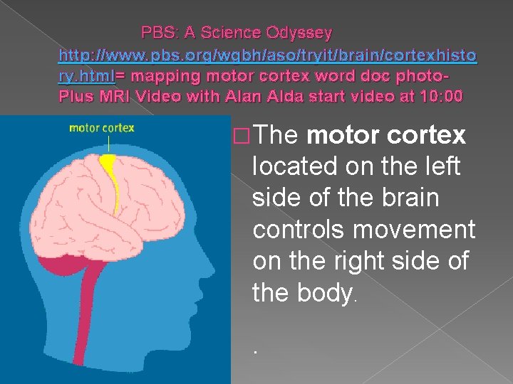 PBS: A Science Odyssey http: //www. pbs. org/wgbh/aso/tryit/brain/cortexhisto ry. html= mapping motor cortex word PBS: A Science Odyssey http: //www. pbs. org/wgbh/aso/tryit/brain/cortexhisto ry. html= mapping motor cortex word