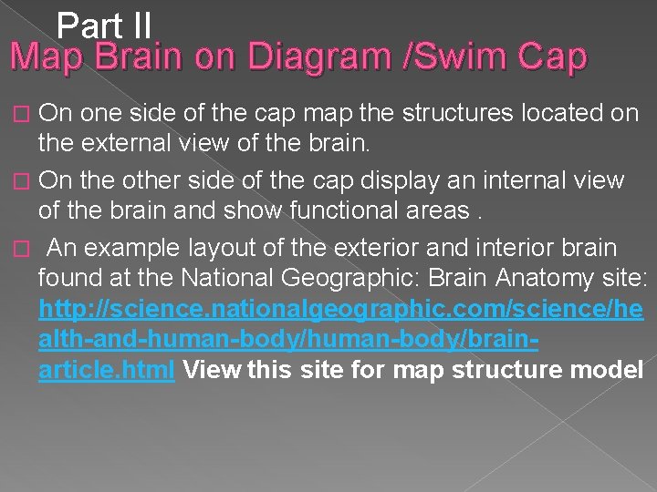 Part II Map Brain on Diagram /Swim Cap On one side of the cap Part II Map Brain on Diagram /Swim Cap On one side of the cap