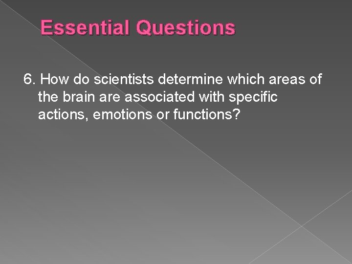 Essential Questions 6. How do scientists determine which areas of the brain are associated Essential Questions 6. How do scientists determine which areas of the brain are associated
