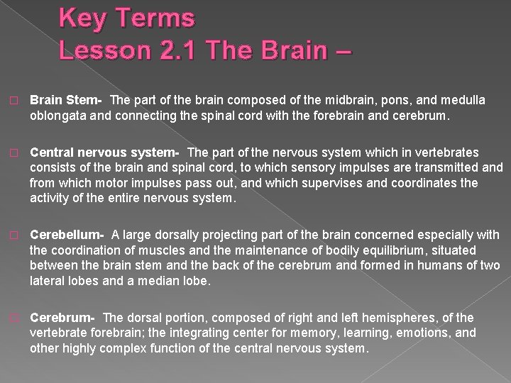 � Key Terms Lesson 2. 1 The Brain – Brain Stem- The part of � Key Terms Lesson 2. 1 The Brain – Brain Stem- The part of