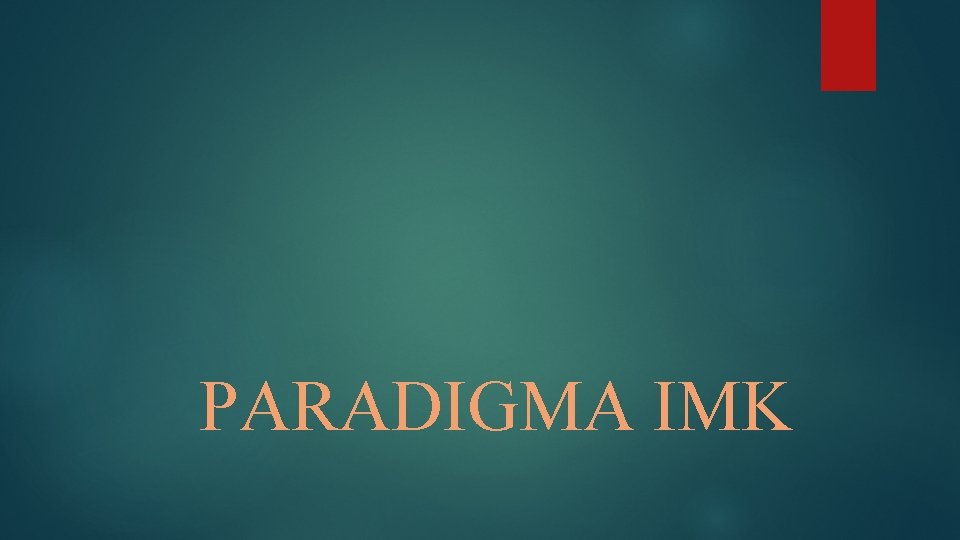 PARADIGMA IMK 