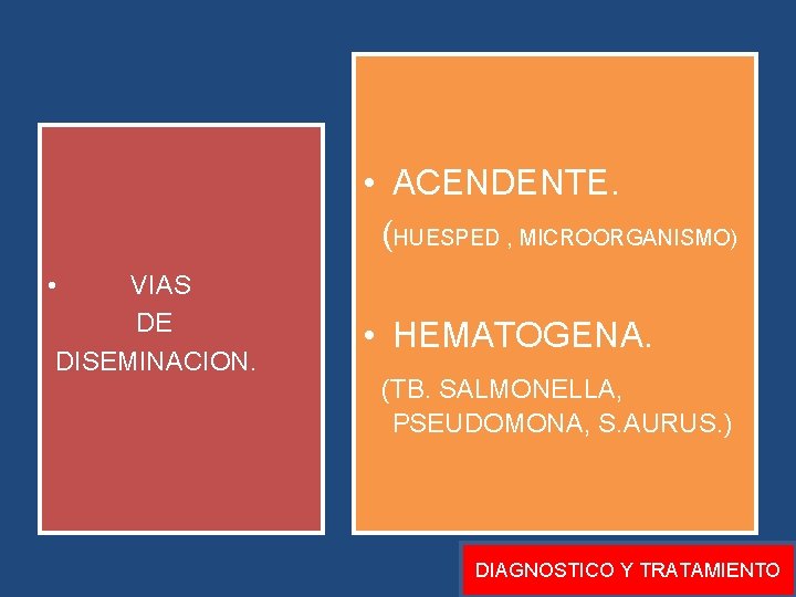 • ACENDENTE. (HUESPED , MICROORGANISMO) • VIAS DE DISEMINACION. • HEMATOGENA. (TB. SALMONELLA, • ACENDENTE. (HUESPED , MICROORGANISMO) • VIAS DE DISEMINACION. • HEMATOGENA. (TB. SALMONELLA,