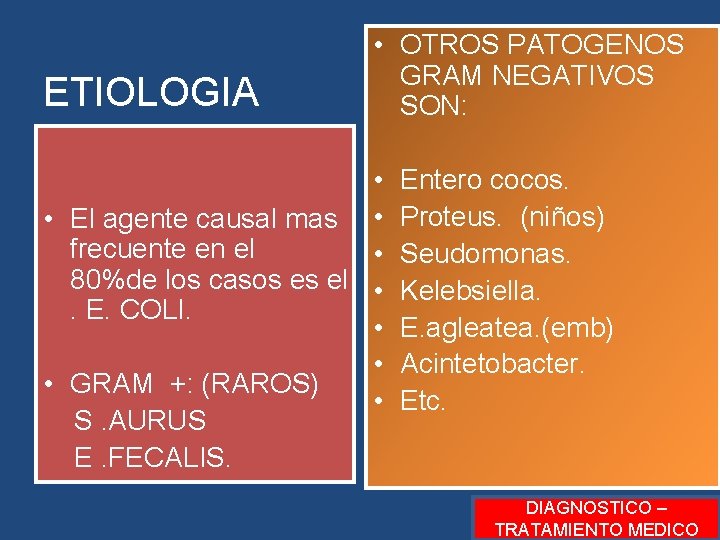 ETIOLOGIA • OTROS PATOGENOS GRAM NEGATIVOS SON: • • El agente causal mas • ETIOLOGIA • OTROS PATOGENOS GRAM NEGATIVOS SON: • • El agente causal mas •