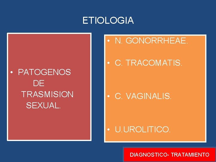 ETIOLOGIA • N. GONORRHEAE. • PATOGENOS DE TRASMISION SEXUAL. • C. TRACOMATIS. • C. ETIOLOGIA • N. GONORRHEAE. • PATOGENOS DE TRASMISION SEXUAL. • C. TRACOMATIS. • C.