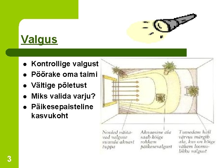 Valgus l l l 3 Kontrollige valgust Pöörake oma taimi Vältige põletust Miks valida