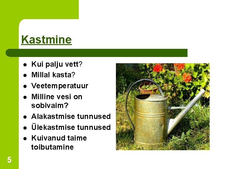 Kastmine l l l l 5 Kui palju vett? Millal kasta? Veetemperatuur Milline vesi
