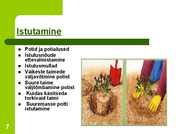Istutamine l l l l 7 Potid ja potialused Istutusnõude ettevalmistamine Istutusmullad Väikeste taimede