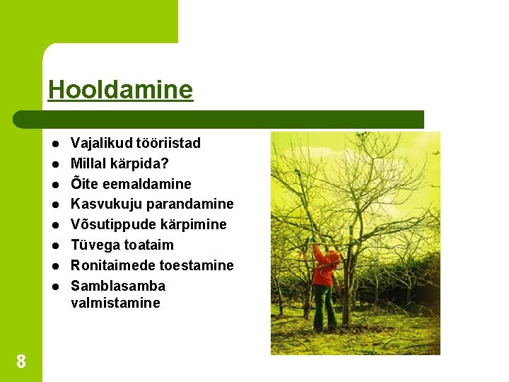 Hooldamine l l l l 8 Vajalikud tööriistad Millal kärpida? Õite eemaldamine Kasvukuju parandamine